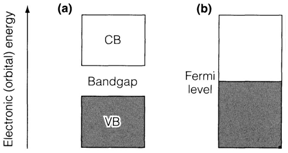 306_band model.png