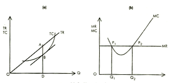 30_Equilibrium Principle Assignment Help.png