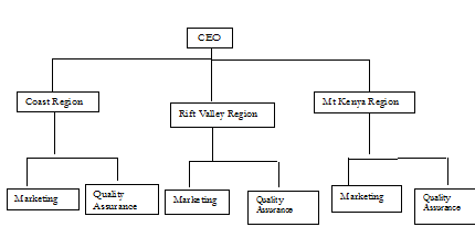 315_Departmentalization By Location.png