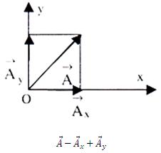 358_rectangular component.jpg