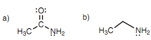 359_Amines and amides.png