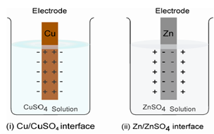 411_Development of Electrode Potential.png