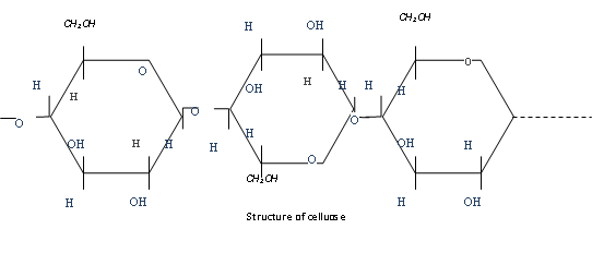 465_cellulose1.png