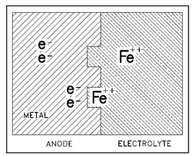 485_Electrochemical Cells.png