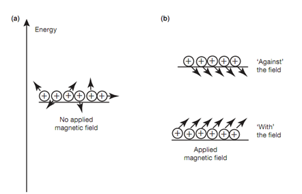 535_External magnetic field.png