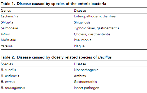 600_Identification of pathogens.png