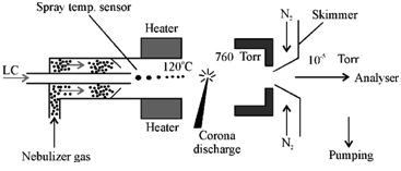 612_Atmospheric Pressure Chemical Ionization.png