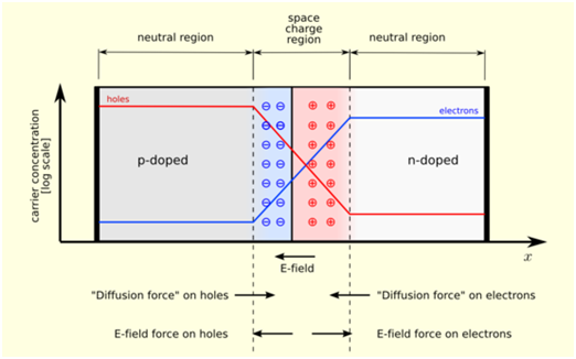 616_Zero-Bias Equilibrium 1.png