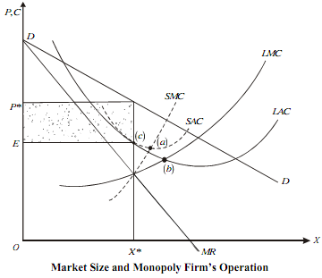 618_Long-run Equilibrium of the monopolist.png