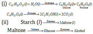 638_enzyme catalysis1.png