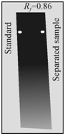 658_Identification of gallic acid.png