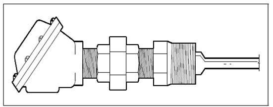 65_Internal Construction of a Typical RTD1.png