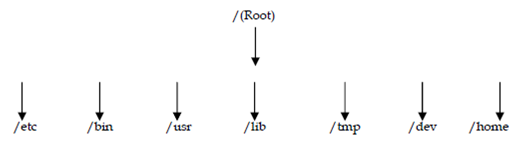 65_file system organization.png