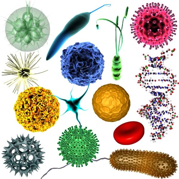 660_microbiology.png