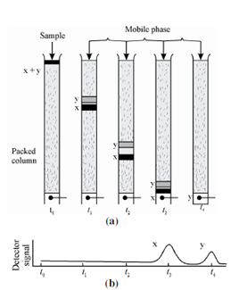 66_Elution of Columns.png