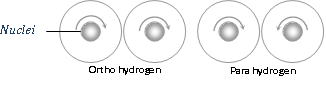 679_ortho and para hydrogen.png