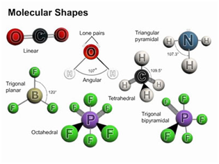 798_molecular shapes.png