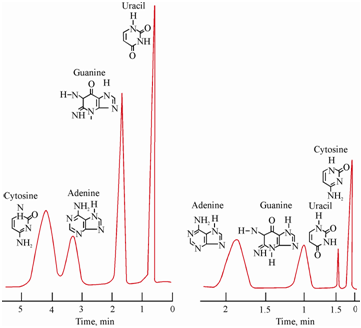 801_Separation of Nucleic Acids.png