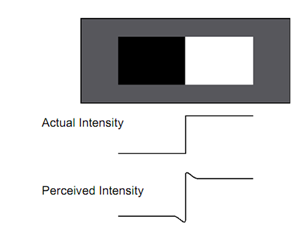 802_Mach Banding.png