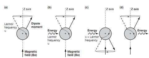 810_Larmor frequency and energy transitions.png