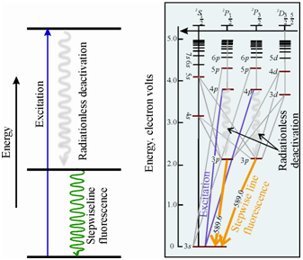 888_Stepwise Line Fluorescence.png