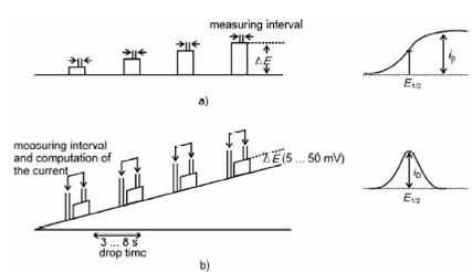 957_Differential pulse voltammetry.png