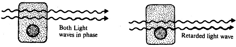 988_phase microscope1.jpg