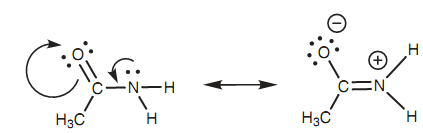 990_Amines and amides1.png